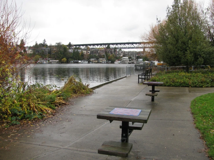 some park benches overlooking a body of water