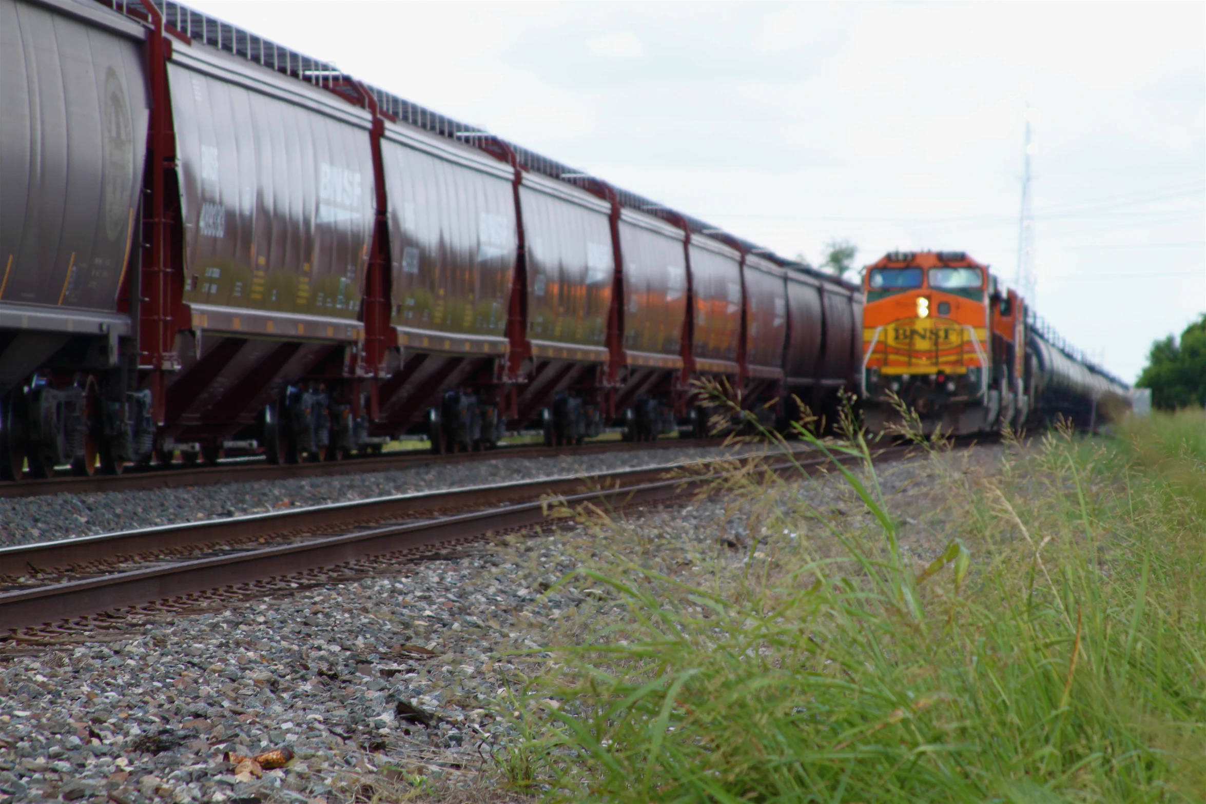 orange and black train on track next to grass