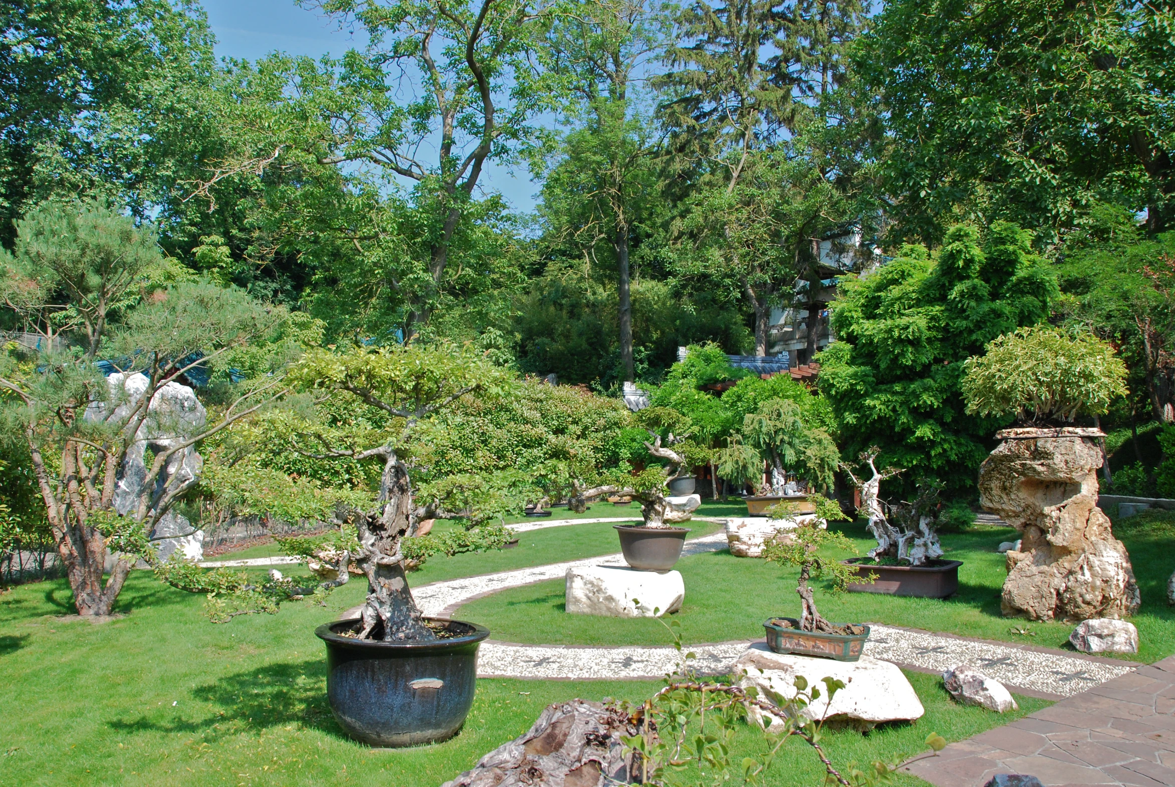 an open area with trees, rocks and a statue