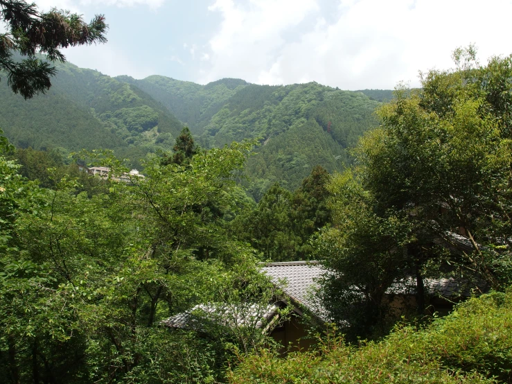 a village nestled in the middle of a green mountain