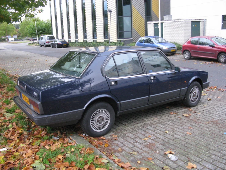 a blue car parked near some leafy grass and trees