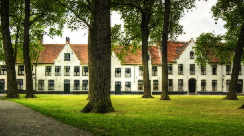 a large white house with windows and a tree in the foreground