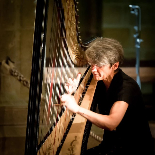 the woman plays the harp with one hand