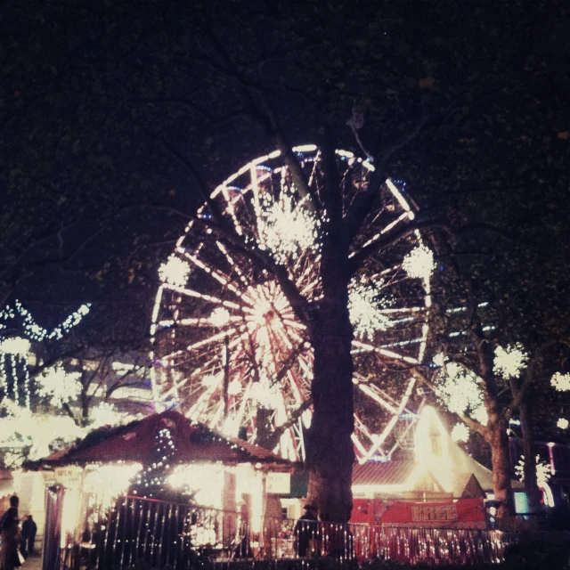 people stand around the lights and trees at night