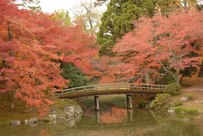 a bridge that goes over water into a tree filled park