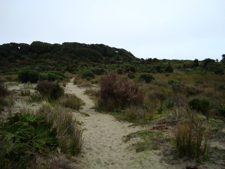 the trail is very long and empty on both sides