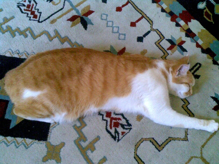 an orange and white cat laying on a colorful rug