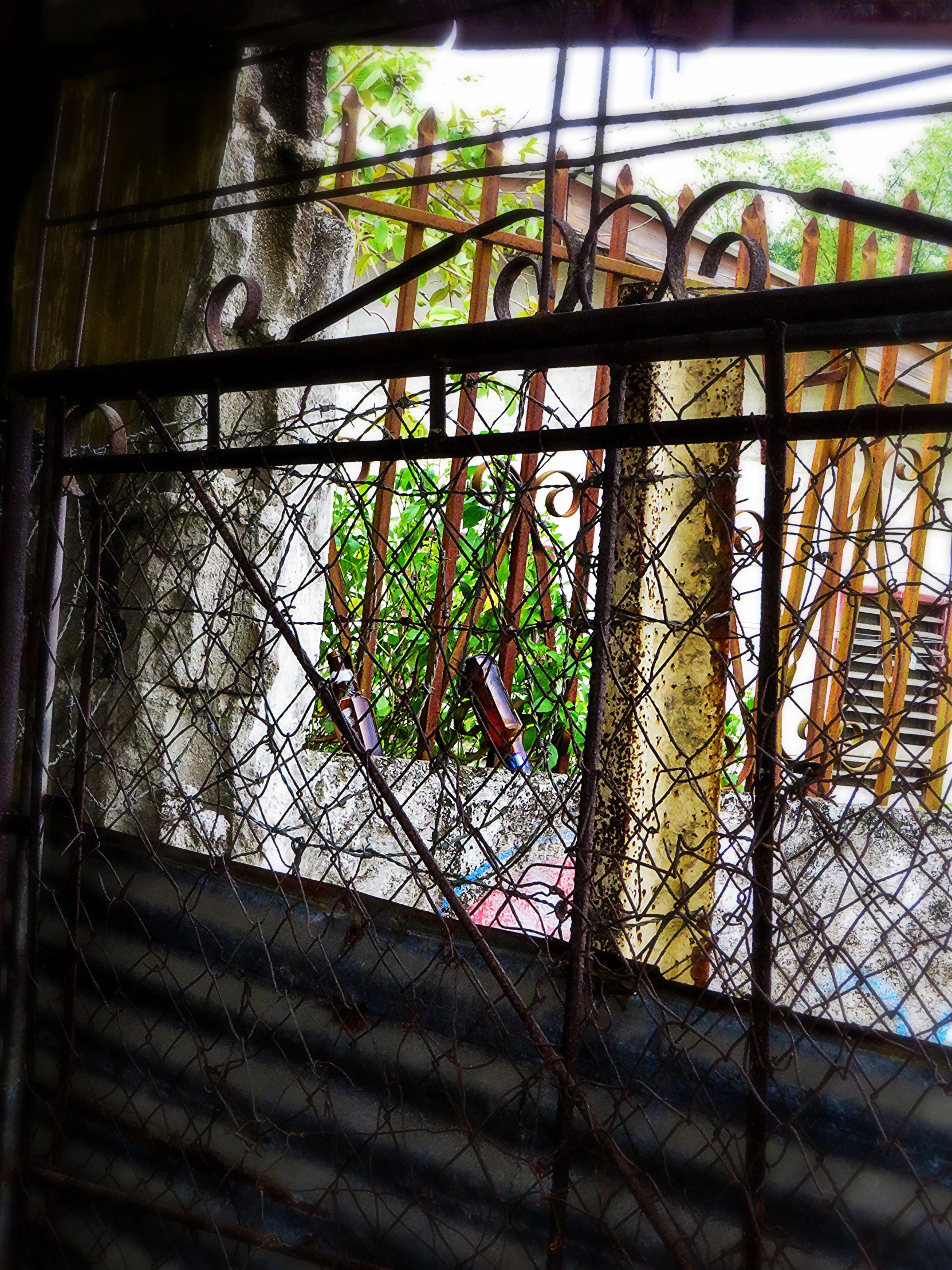 an iron gate with graffiti on it behind it