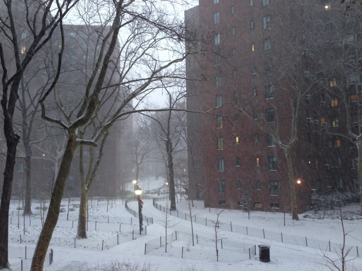 the view of an empty street and sidewalk in winter