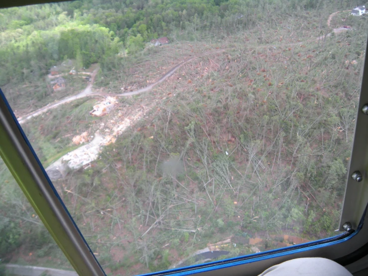 looking down at trees and a road outside of a window