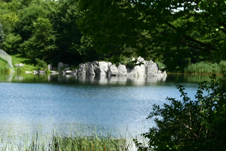 a small body of water surrounded by greenery and rocks