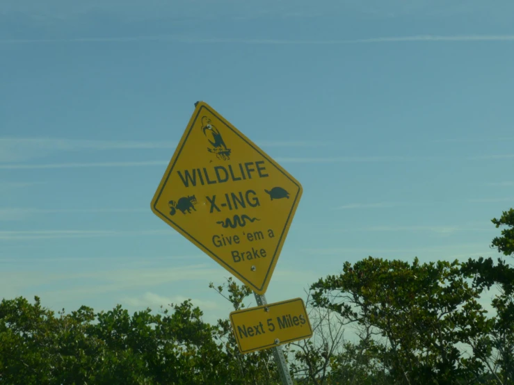 a wildlife crossing sign hanging off the side of a road