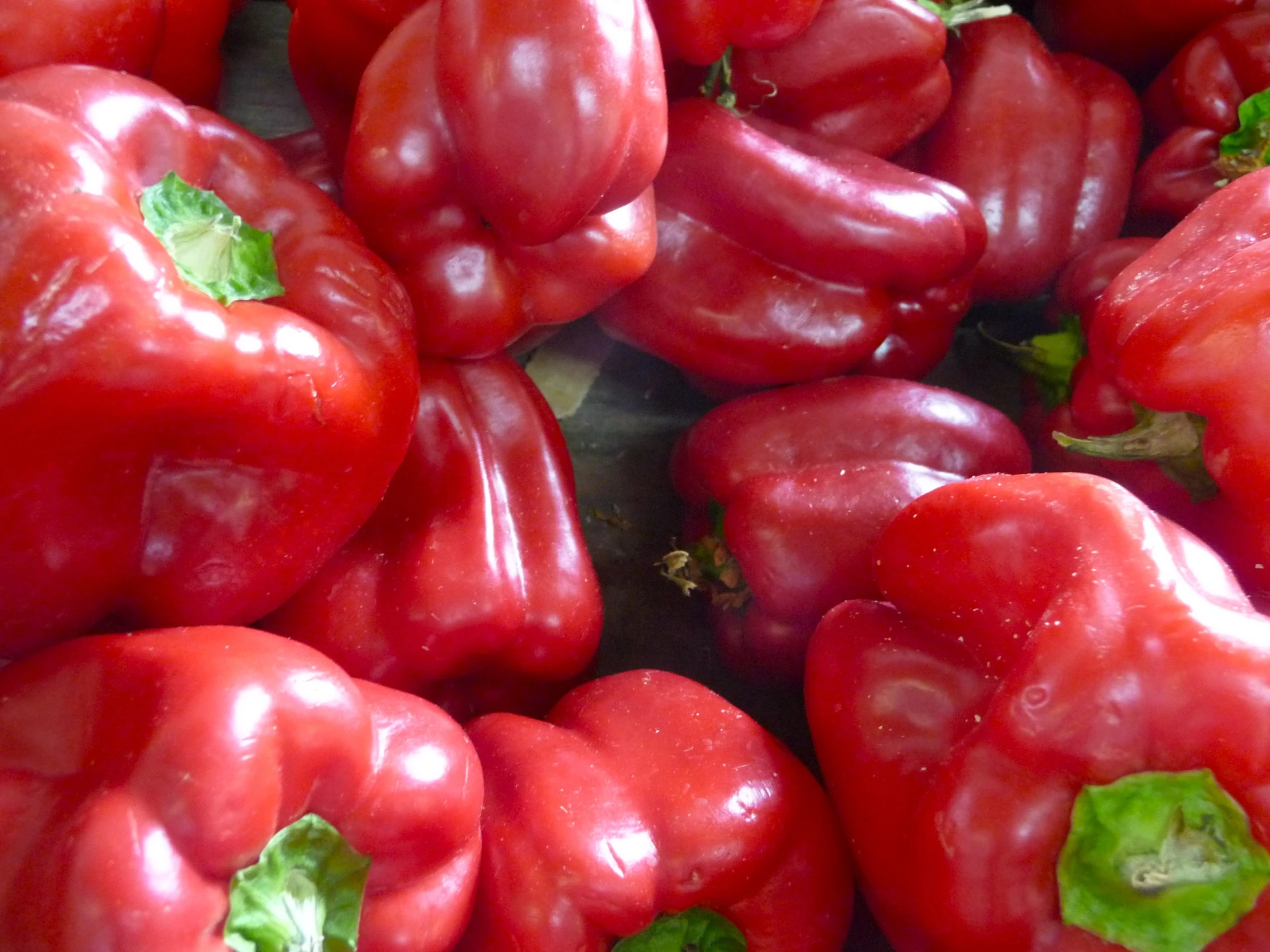 a pile of fresh red peppers with leafy stems