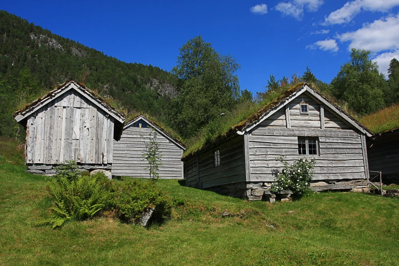 several rustic, wooden buildings with grass roofs