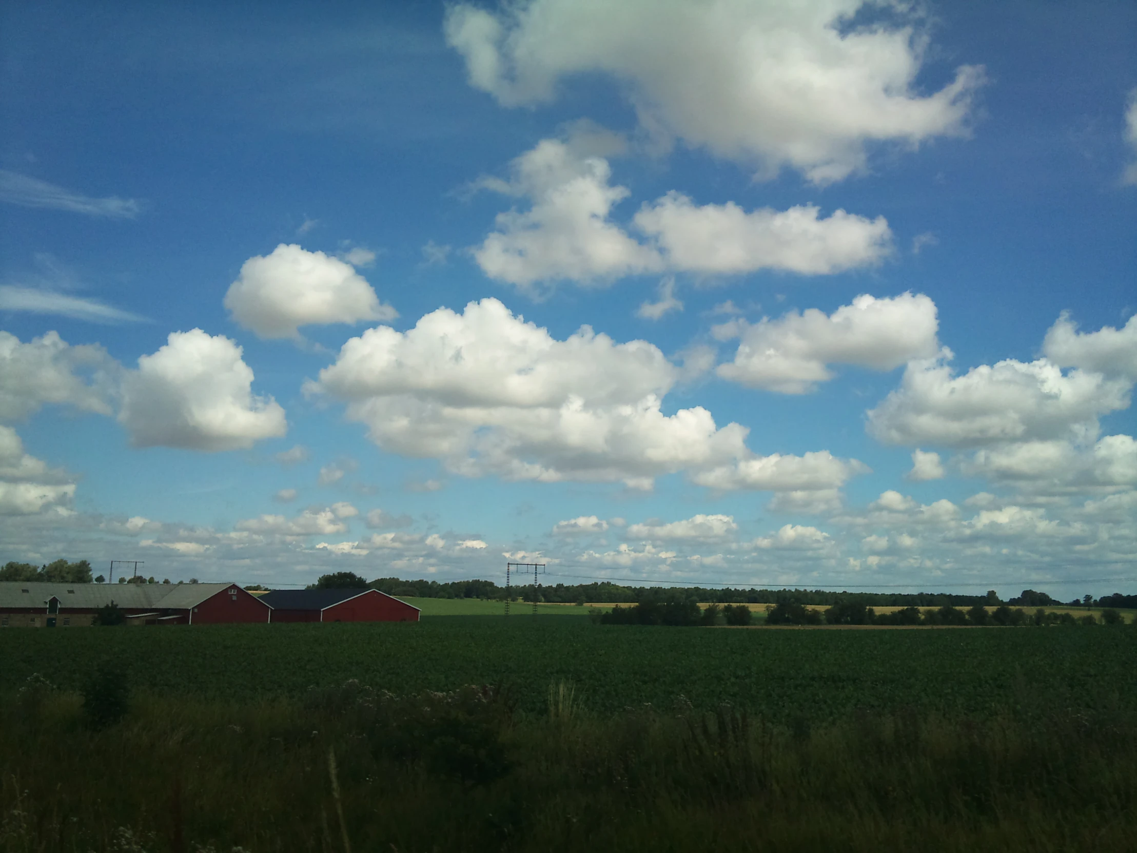 large farm land with a barn in the middle