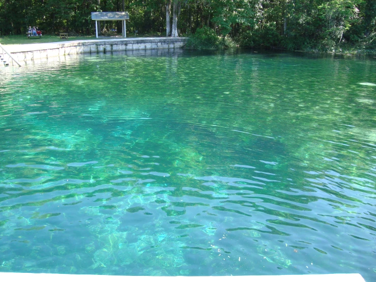 an empty, blue pool with reflections in it