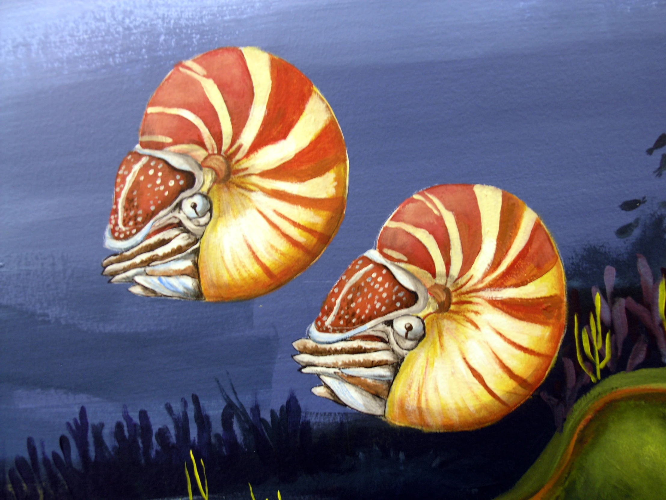 two red and white shells are floating over some green plants