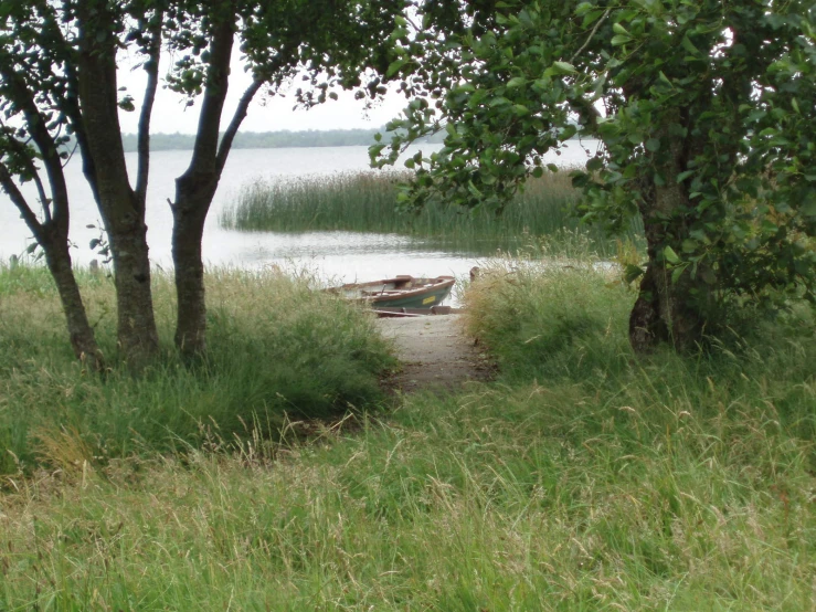 two boats parked on the side of the river by trees