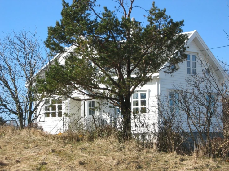 a white house with trees on the side