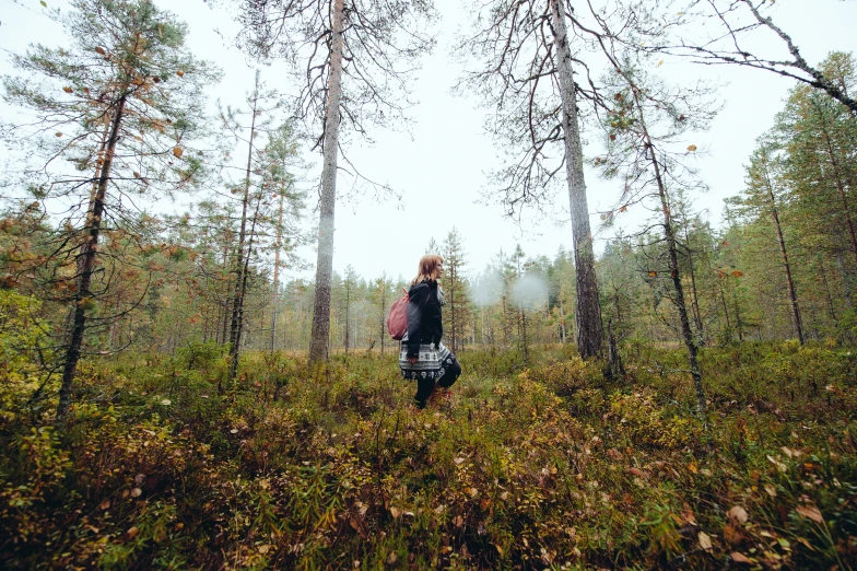 a person walking through the woods carrying a backpack