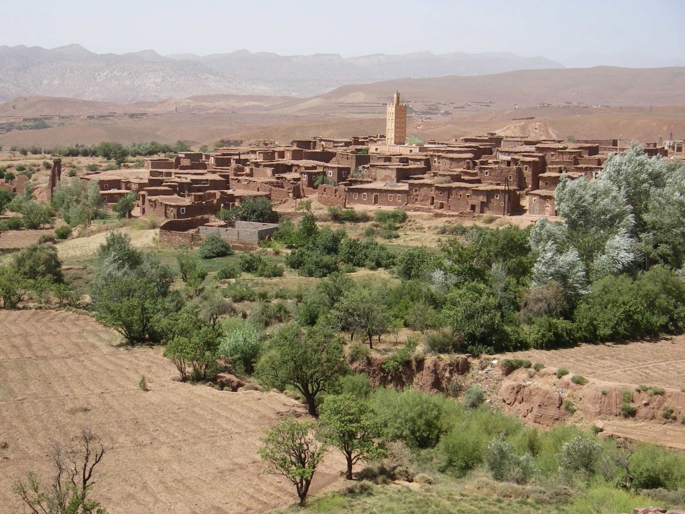 a village in a grassy field with hills and bushes