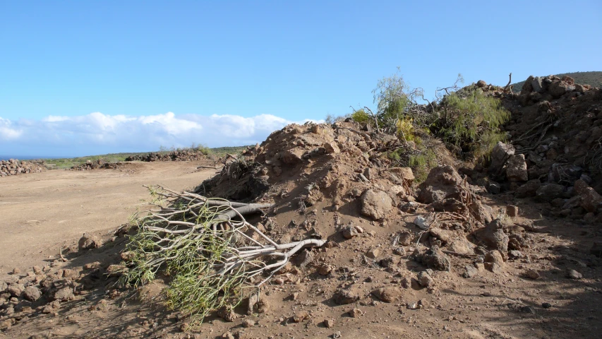 the desert has been dug up in the sand