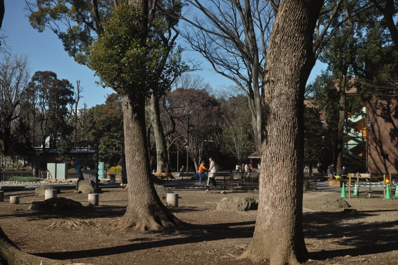 the people are playing and playing in the park