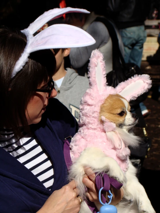 a person in bunny ears is holding a small dog