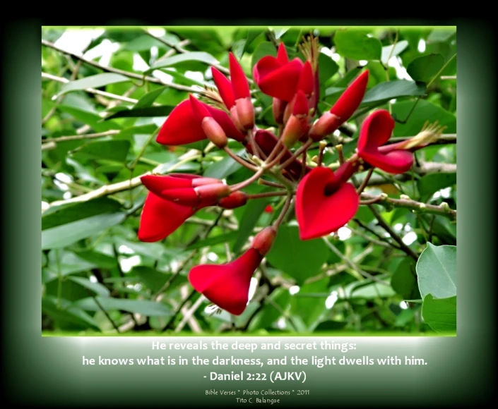 a red flower sitting on top of a lush green leaf filled tree