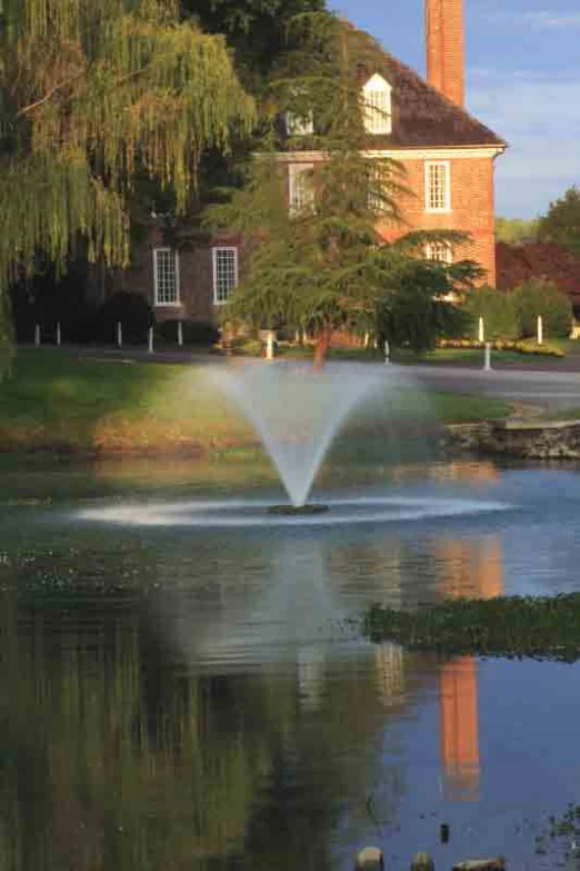 a fountain in a park surrounded by trees