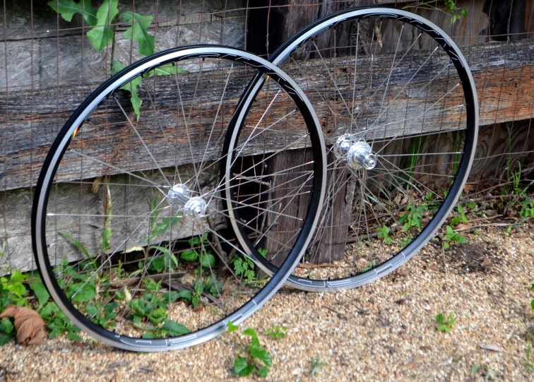 two wheel spokes are standing up next to each other