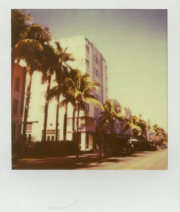 this is an old picture of palm trees and a building