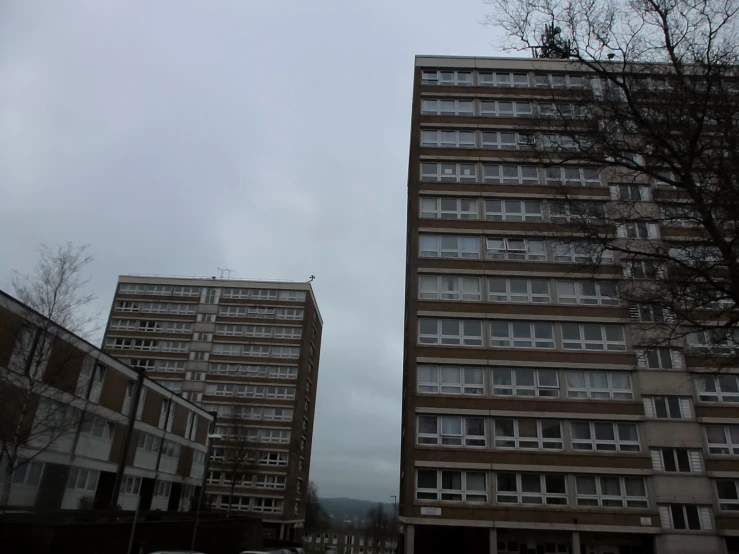 two brown buildings sitting in the middle of a park