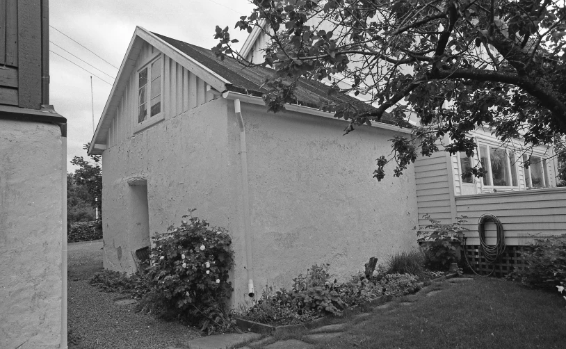 this old house has many plants near the windows