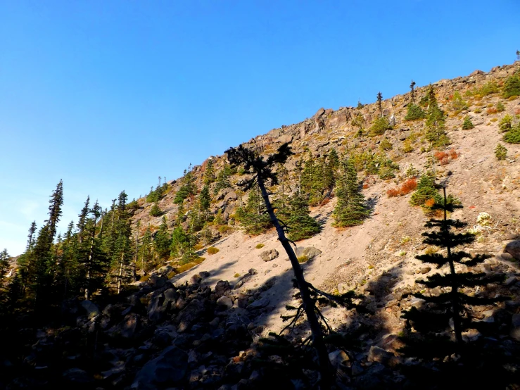 this is the bottom of a mountain in colorado