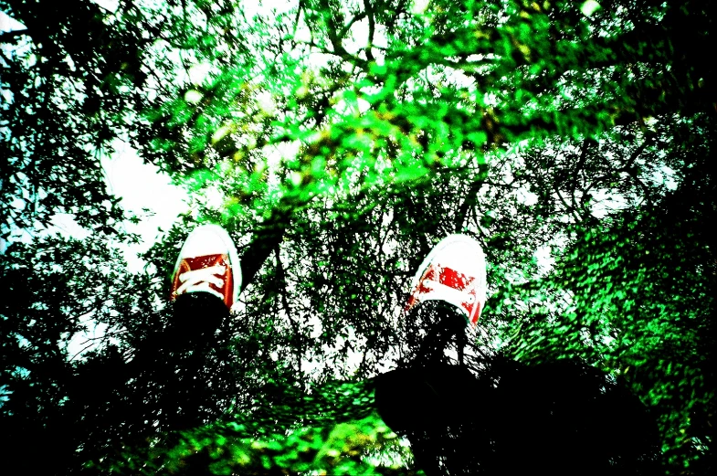 two pairs of shoes sitting on the ground with trees behind them