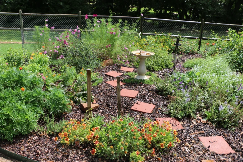 a garden with stepping bricks and colorful flowers