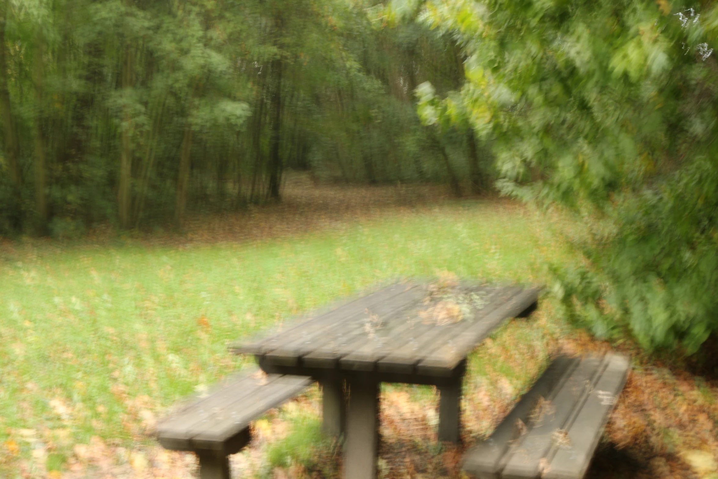 a wooden bench next to a lush green forest