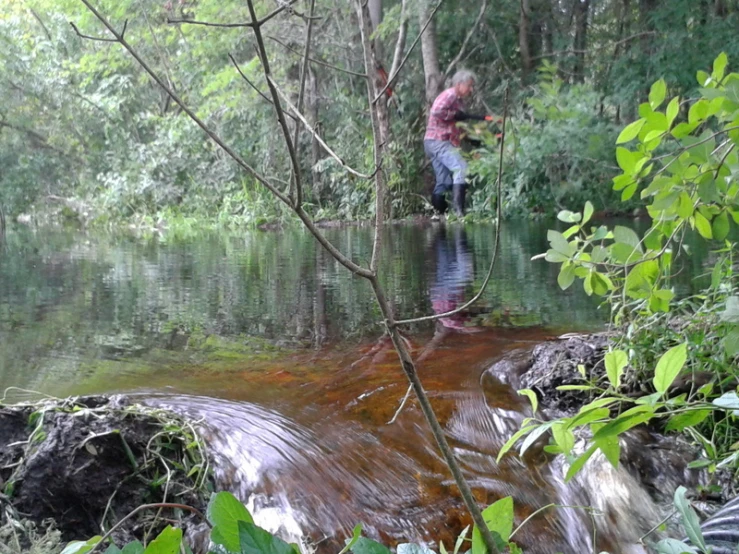 person in pink jacket standing on the edge of a stream