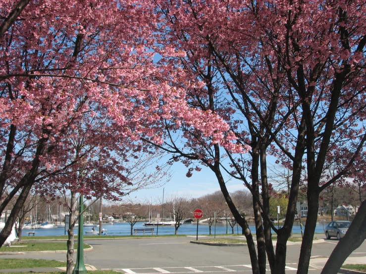 a street and road near some water