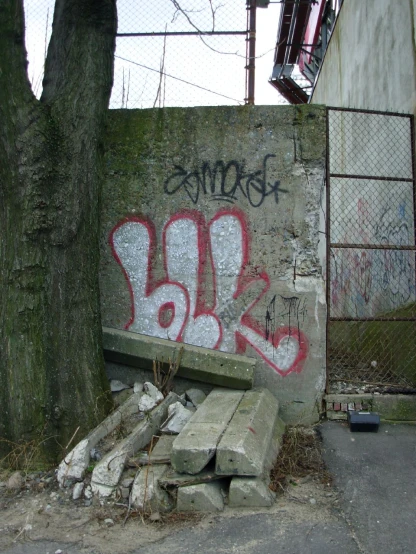 a tree by a fence and some graffiti on it
