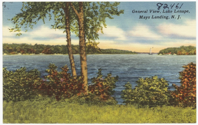 an image of a river view from a cottage