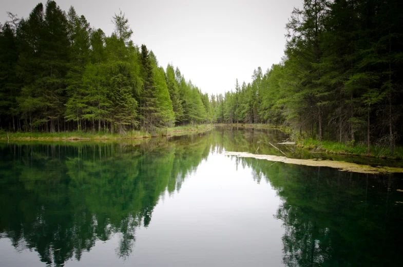 a still lake surrounded by some trees on a cloudy day