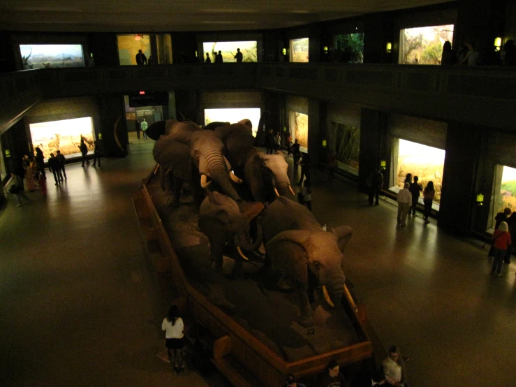 a group of elephants in a museum next to many people