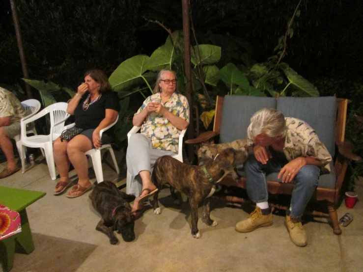 people and dogs sitting on wooden chairs in the backyard