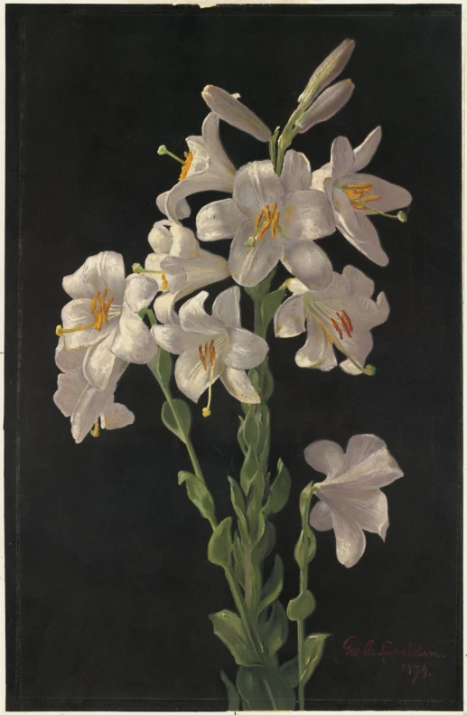 a painting of flowers in vase with black background