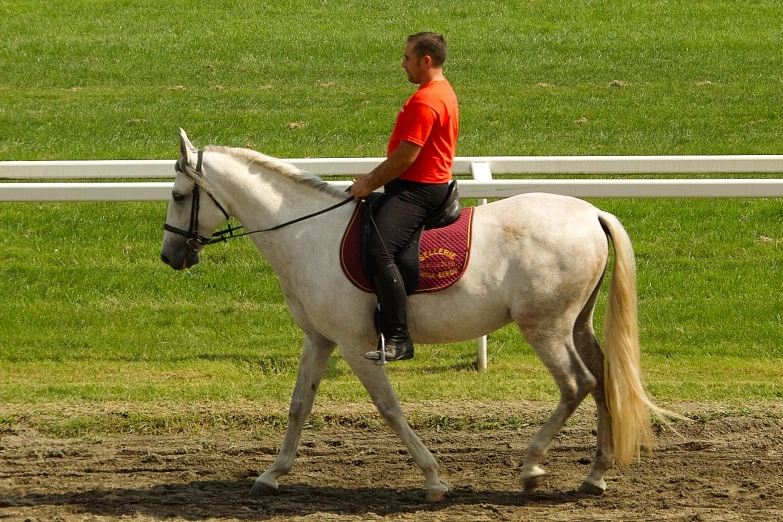 a person sitting on a horse in the dirt