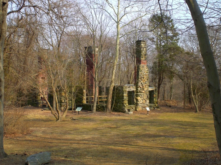 the fire tower is in the middle of a wooded area