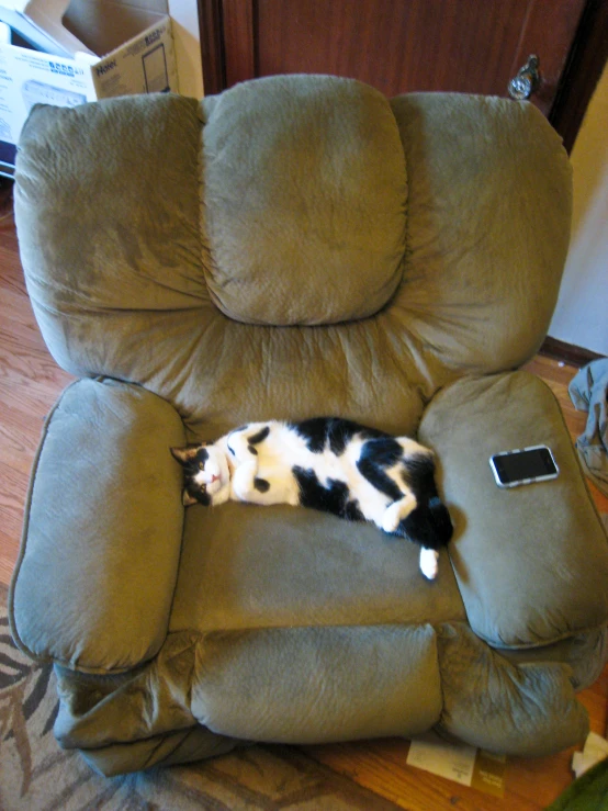 a cat laying down on a reclining chair in the middle of a living room