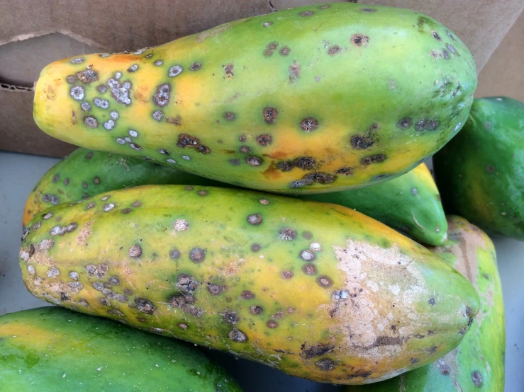 there are some plantains that are green with brown spots